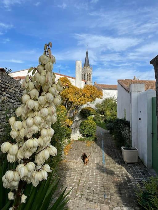 Maison De Charme A La Couarde-Sur-Mer Eksteriør billede